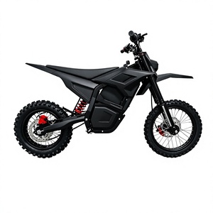 Moto tout-terrain de course pour adultes, 2000W, moteur central haute puissance, batterie lithium 60V, homologuée CE, tout-terrain - Product Image 1