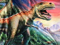 Couverture de dinosaure en polaire douce en polyester 100% cadeau de Noël pour garçons avec motifs d'animaux de dessin animé et de points rayés