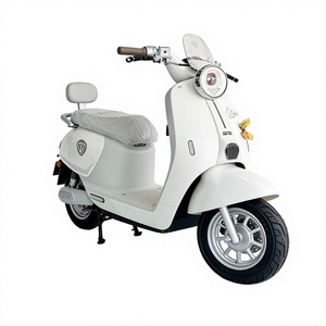 Bicicleta de Montaña de Aluminio sin Escobillas de Alta Gama para Mujeres Adultas, Modelo EVRIDE A033, 40 Km/h, 60V - Product Image 1