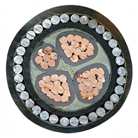 Cable de Alimentación con Aislamiento de PVC y Núcleo de Cobre de 4x120 mm² con Clasificación IP65 para Construcción, Resistente a la Intemperie y de Uso Versátil