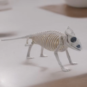 Crâne d'animal Ghost House Chamber SKD13 New Resin Crafts Ornament for Party Decoration - Product Image 6