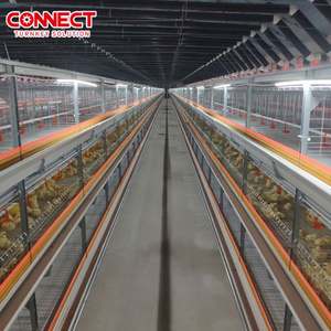 Ticari kullanım Pondeuse horoz horoz tavuklar kafesleri kanatlı tavuk tarım ev besleme makinesi katmanlı üreme kafesi sistemi - Product Image 6
