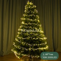 LED Feuerwerkslichterkette Grüner Kupferdraht Lichterkette für Weihnachten Feiertage Funkelnde Sternenlichterkette mit Stecker 2000/3000/6000 LEDs