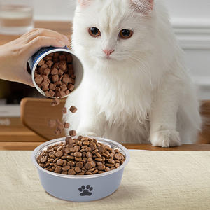 Paslanmaz çelik köpek maması kaseleri yalıtımlı köpek maması su kasesi hiçbir ucu Pet besleyici kase orta büyük köpek için hiçbir Skid dökülme geçirmez - Product Image 6