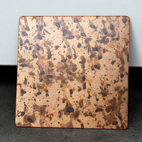 Tôles d'acier inoxydable 304 316 avec placage laiton antique, finition patine antique 304