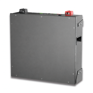 Batterie domestique Dyness 51,2 V 100 Ah Powerwall, batterie au lithium 5 kWh, montage mural, 5 kWh 10 kWh, batterie Lifepo4 avec BMS intelligent - Product Image 4