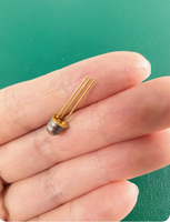 Photodiode PIN InGaAs à faible bruit 0,2 nA 500 µm TO-46 900-1700 nm pour la détection de gaz (vente en gros)