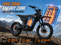 Nouvelle moto électrique tout-terrain sans balais 48V 2600W 65KM/H pour la patrouille des fermes et des ranchs