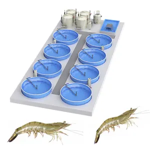 Système Ras d'intérieur Système d'aquaculture à recirculation pour l'élevage de crevettes Vannamei en vente