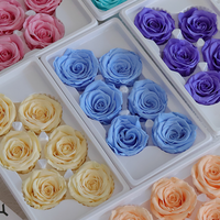 Yunnan Caijun Usine Préservé Tête De Rose Réel 5-6CM Fleurs Séchées B Grade Rose Bourgeon pour L'arrangement De Fleurs De Noël