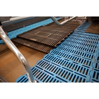 Accessoires pour cage de mise bas en fer fonte noir lisse et durable pour élevage porcin, tapis de sol en fer fonte