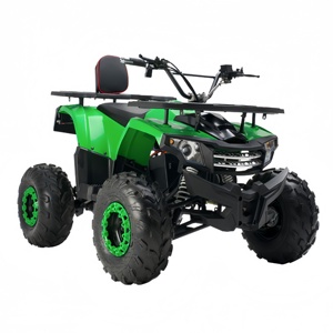 Kart électrique tout-terrain 2000W 4x4 avec moteur DC à balais pour adultes et adolescents - Product Image 1