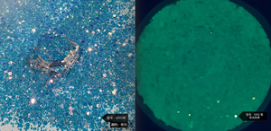 Polvere Acrilica Luminosa Fosforescente per Unghie, Resistente ai Solventi, Decorazioni Natalizie - Product Image 3