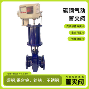 Válvula de Abrazadera Neumática de Acero al Carbono DN80 Tipo Regulador para Aplicaciones Generales - Product Image 5