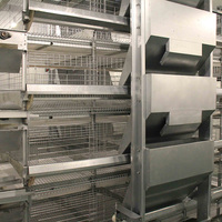 Cage à poulets verticale haute densité à structure en H, équipement commercial pour élevages de poulets de chair de grande envergure