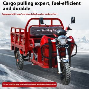 Triciclo Potente de Gasolina de Carga Pesada Vehículo Motorizado Pequeño para Uso Agrícola y Doméstico con Carrocería Abierta - Product Image 2