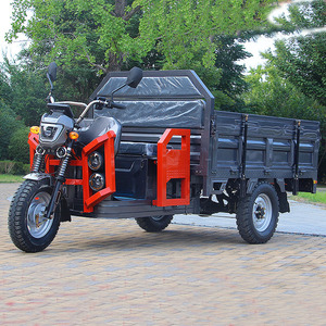 2024 Three-Wheeled Tricycle <b>Box</b> Steel Material Manufactured Motorcycle - Product Image 3