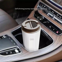 Tate Weaver Tasse Électrique Type-C USB 350ml Mini Portable pour Voyage Hiver Chaud Chauffage Eau Bouilloire Tasse Cadeaux