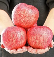 Prix des pommes fraîches chinoises Gala/Rouges/Fuji