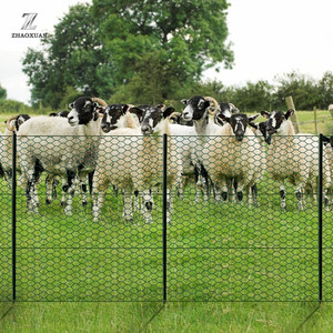 Anti-Corrosion Hot-Dipped Galvanized PVC Coated <strong>Chain</strong> <strong>Link</strong> Diamond Mesh - Product Image 2