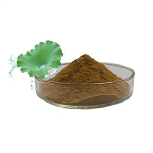 Lian Ye Groothandel 100% Puur Gedroogd Lotusblad <span class=keywords><strong>Extract</strong></span> Poeder 98% Nuciferine Kruid Specerij Export Rauw - Product Image 2