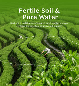 Matcha Herbspirit Superior Mistura Cerimonial de Primeira Colheita Pó de Matcha Orgânico de Grau Cerimonial - Product Image 3