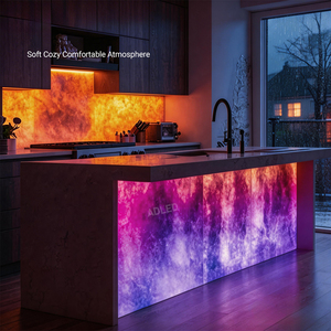 Feuille LED Flexible RGB+W 324 LED 45W DC24V pour Éclairage de Boîte Lumineuse Garantie 3 Ans - Product Image 6