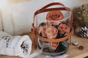 زهور أزرق محفوظة Stabilisierte ديكور طاولة ورود محفوظة بالبخار طويلة في صندوق - Product Image 6