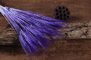 2024 gros Yunnan bricolage fleur séchée <span class=keywords><strong>blé</strong></span> sec décor naturel bouchons d'oreille mariage/magasin centres <span class=keywords><strong>de</strong></span> <span class=keywords><strong>table</strong></span> - Product Image 3