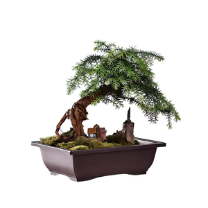 Vaso Quadrato in PP Multi-Misura per <span class=keywords><strong>Bonsai</strong></span> e Piante Grasse, Ecologico e Leggero, per Esterni/Interni con Foro di Drenaggio - Product Image 1