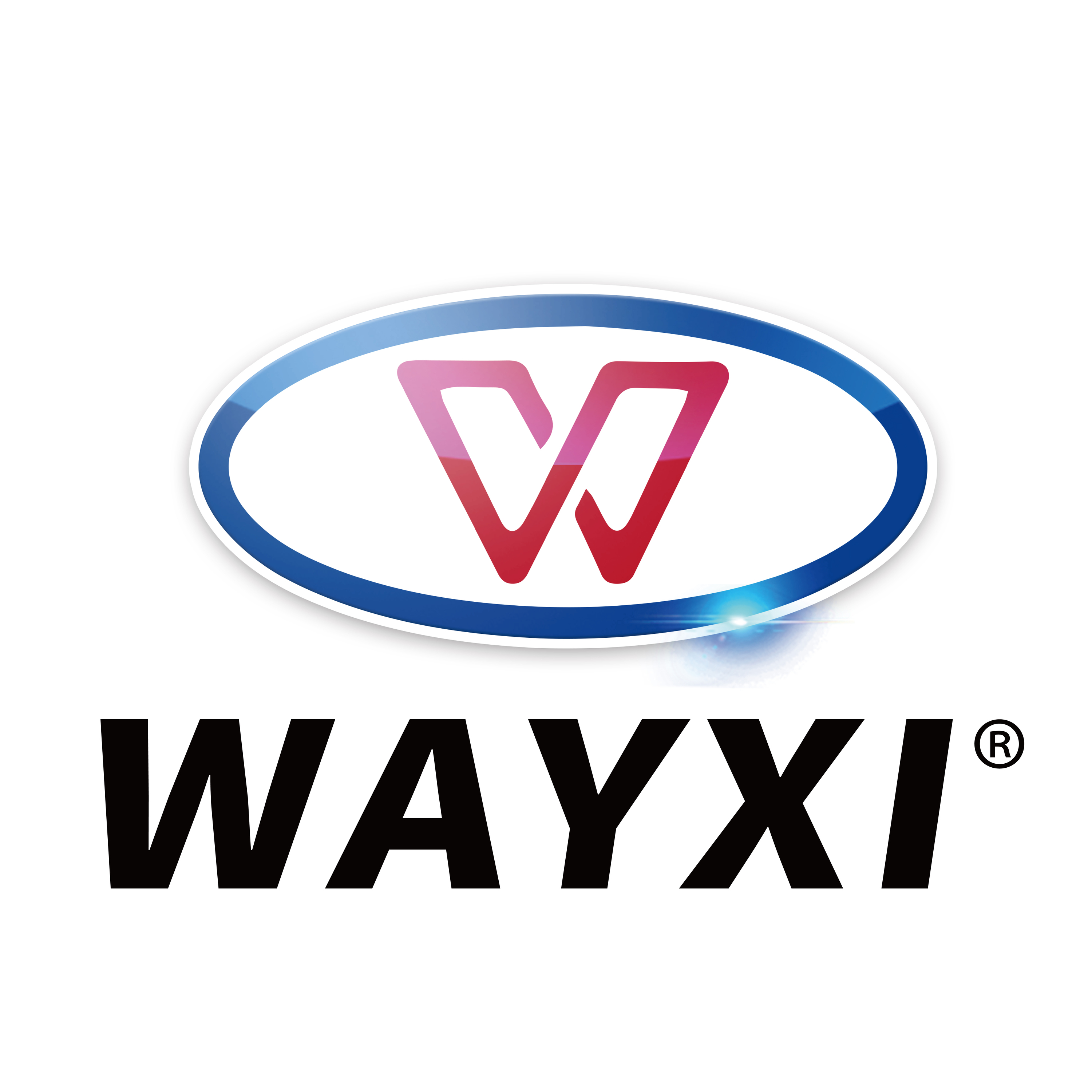 Zhongshan Weixi Daily Chemical Technology Co., Ltd. logo