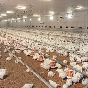 Hochwertige kommerzielle Hühner Hühnerfarm Geflügel haus Bau zum Verkauf