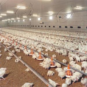 Construction <span class=keywords><strong>de</strong></span> poulailler <span class=keywords><strong>de</strong></span> haute qualité pour 3000 poulets, élevage commercial <span class=keywords><strong>de</strong></span> volailles à <span class=keywords><strong>vendre</strong></span> - Product Image 4