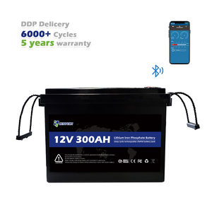 OEM ODM diseño 6000 ciclos 12V 300Ah hogar Lifepo4 baterías desmontable impermeable Lifepo4 células prismáticas bacterias litio - Product Image 2