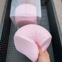 Hachimi Squishy Hawaïen Extra-Large à Rebond Lent, Ultra-Moelleux, Doux au Toucher, Jouet Anti-Stress à Presser en Caoutchouc Thermoplastique