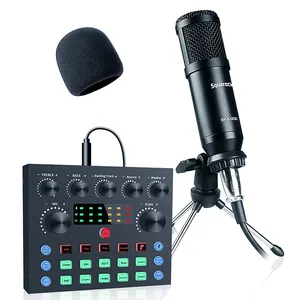 Klaar Voorraad Mini Portable Sound Console All In One Apparatuur Met Audio Condensator Microfoon Live-uitzending