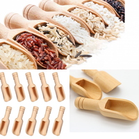 Cuillère courte en bois de bambou, 5 pièces, mini bols plats en bois de mesure de la cuisine pour les salches de bain, vente en gros