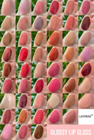 Kit de Rouge à Lèvres Végétalien 2-en-1 Mat et Brillant à Lèvres, Étiquette Privée, Doublure Imperméable, Ensemble Lèvres Longue Durée, Fonction Hydratante