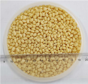 <span class=keywords><strong>Cereali</strong></span> Vegani Croccanti Proteici di Soia - Alternativa Senza Glutine a Riso e <span class=keywords><strong>Cereali</strong></span> <span class=keywords><strong>Soffiati</strong></span> per la <span class=keywords><strong>Colazione</strong></span> con Granuli e Croccantini di <span class=keywords><strong>Cereali</strong></span> - Product Image 1