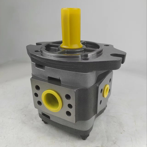Bomba de engranajes hidráulica interna de alta presión IPVP5-40-101 (compatible con IPV, IPVP, IPC, IPV3, IPV4, IPV5, IPV6, IPV7, IPVP4, IPVP5, IPVP6) - Product Image 1