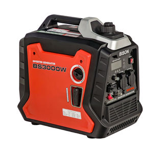 Générateur onduleur de puissance <span class=keywords><strong>BISON</strong></span> (CHINE) monophasé 110V/220V 170F 7 CV 2500W 2,5 kVA à démarrage manuel - Product Image 1