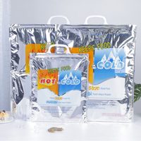 Sac isotherme à fermeture éclair en aluminium avec options personnalisées pour la livraison de nourriture, l'emballage de pizzas et de lait