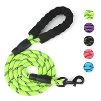 Laisse pour chien A Mazon Top Seller avec poignée rembourrée, en nylon durable, matériau réfléchissant, laisse ronde rayée avec ruban