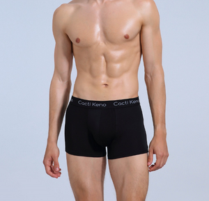 Toptan stok Lot için iç çamaşırı adam özel klasik pamuk Boxershorts erkek temelleri Boxer külot - Product Image 6