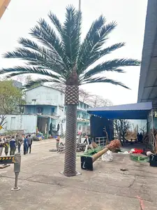 Açık ve kapalı dekorasyon için uv-radyasyon yapay tarih ağacı fiberglas palmiye ağacı