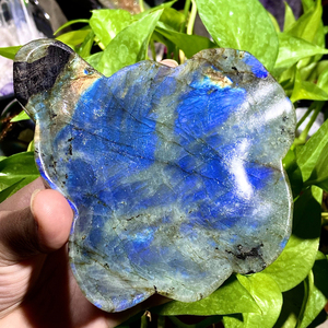 Vente en gros de cristaux de guérison naturels de haute qualité, artisanat élégant en labradorite, bol de forme libre pour la décoration de la maison - Product Image 4