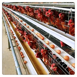Hot Galvanized A Frame Layer Chicken Poultry Cage Systems Hen coop chicken coop plastic cage chicken cages