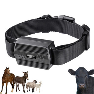 Collar con Rastreador GPS Inteligente Antipérdida para Mascotas, Diseño 2026, 4G, Recargable, en Tiempo Real, para Actividad de Mascotas, <span class=keywords><strong>TKSTAR</strong></span> TK935, Venta al Por Mayor - Product Image 6