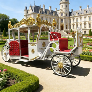 Open <b>Top</b> Royal Sightseeing Carriage Wide Vision Retro Cart for Lakeside, Beach & Garden Leisure Tours - Product Image 1
