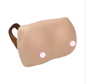 Modelos de Simulación de Examen de Senos de Tamaño Real para Ciencias Médicas Avanzadas, con Estructuras Anatómicas Detalladas para Obstetricia - Product Image 3